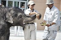 マーラが１歳 ケーキで祝う