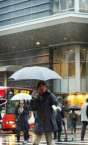 白い冬に身構える 金沢で初雪