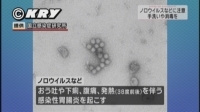 感染性胃腸炎が急増