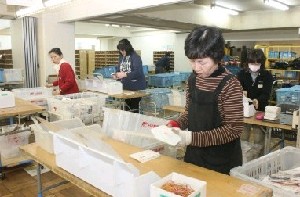 年賀状仕分け作業がピーク 大分中央郵便局