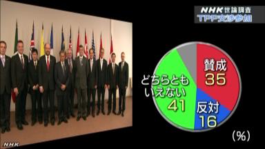 TPP、安倍首相に公約順守求める=衛藤自民調査会長