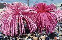 美濃路彩る花みこし１７基総練りまつり開幕