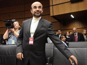 イラン新体制で核問題に柔軟姿勢か、ＩＡＥＡ大使「問題に決着を」