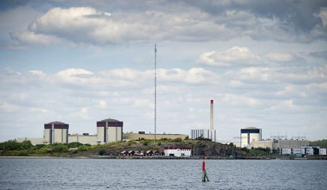 スウェーデン原発、クラゲの大群で3日間停止