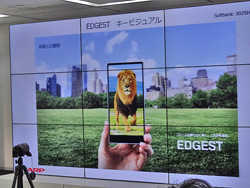 シャープ、ドコモ“優遇”で起死回生? 冬スマホはIGZOで攻める