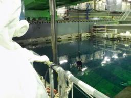 福島第一4号機の燃料、共用プールに輸送