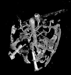 船原古墳:精巧、シャンデリア状の金銅製馬具出土
