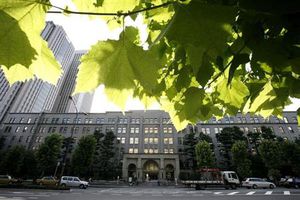 来年度税収50兆円超=7年ぶり-消費増税で
