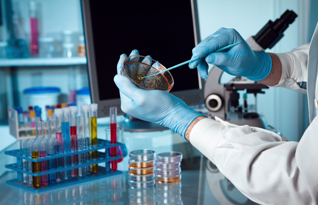 iPS細胞が初めて肺組織に