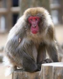 ベンツ断トツ１位 行方不明のままですが…