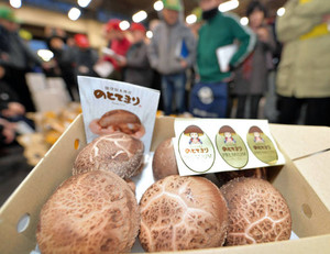最高級シイタケ １箱２万３０００円