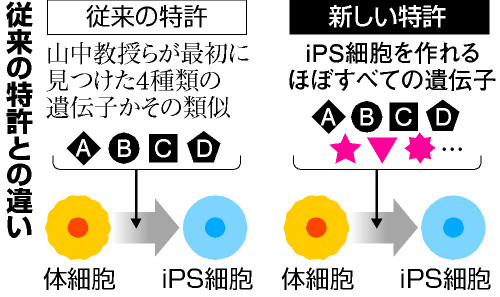 アピタルトップ ＞ ニュース ＞ ｉＰＳ細胞作製法で包括特許 京大、実用化研究を後押し