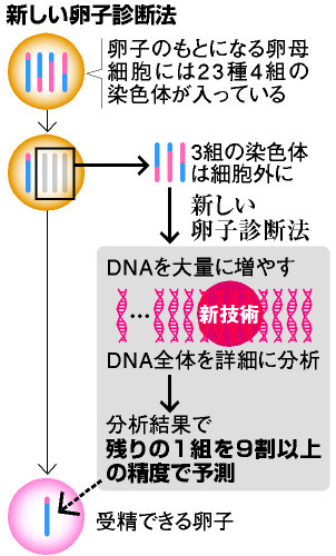 遺伝子異常、卵子で一括診断 高い精度、命の選択懸念も