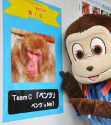 47NEWS > 共同ニュース > 雄ザル、初のイケメン総選挙 行方不明のベンツが圧勝