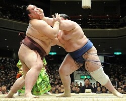 白鵬が6連勝、鶴竜ら1敗5人 大相撲初場所6日目