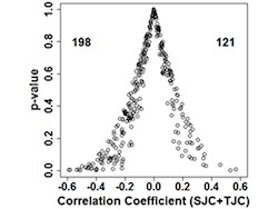 天気が悪くなるとリウマチが痛むのには科学的な根拠があった - 京大