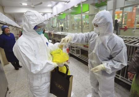 鳥インフル:毒性強いＨ５Ｎ８型 韓国で急速に拡大
