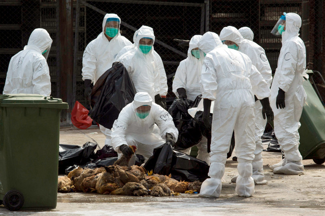 鳥インフルエンザ:ヒトからヒト、限定的に感染−−中国