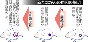 遺伝子制御異常でもがんに iPS細胞使い京大解明