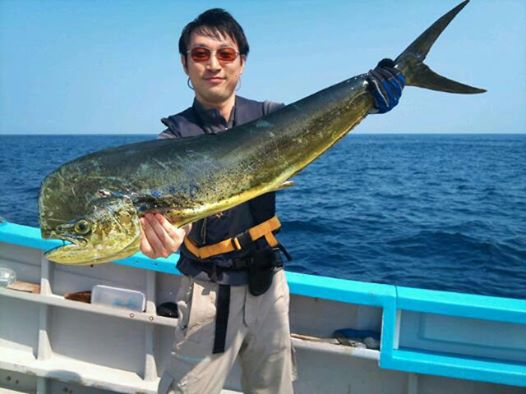 ドコモ「iPhone」海上のLTE接続率100%