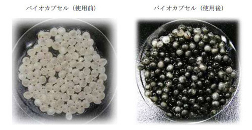 バイオカプセルでレアメタルなど回収、森下仁丹とオリックス環境が検証開始