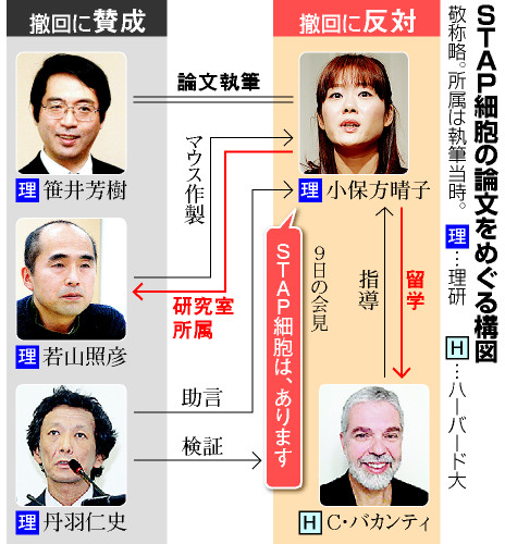 小保方晴子さんの上司・笹井芳樹氏ってどんな人？【STAP細胞】