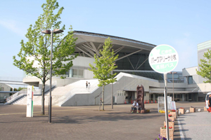 バスケＮＢＬ、和歌山が決勝進出 プレーオフ西決勝