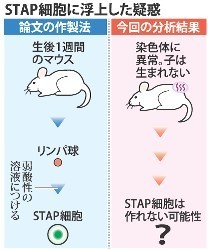 「理研再生研の全面改組を」…改革委が提言