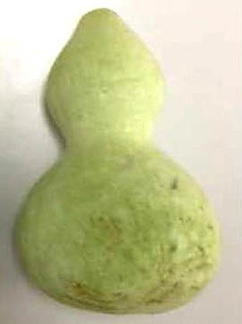 観賞用ヒョウタンで食中毒 千葉など１１府県で販売 「食用」と苗に誤表示