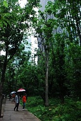 自然にやさしいビル:生物多様性配慮で協議会が認証します