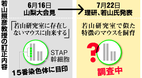 STAP細胞解析結果は誤り 若山氏、会見内容を訂正