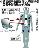 脊髄損傷でも歩ける?…腕への「信号」で脚動く 2014年08月14日 13時36分