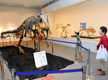 恐竜の化石にドキドキ 南相馬市博物館・コラボ展開幕 国立博物館が出展