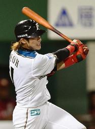 相性バッチリの陽岱鋼「旭川を愛してますからね」