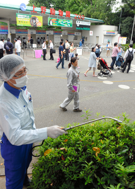 47NEWS > 共同ニュース > 蚊への注意呼び掛け 週末迎えた上野公園