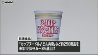 日清食品、カップ麺など約２５０商品値上げ（東京都）