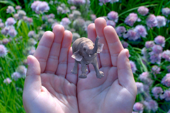 グーグル、新興企業マジック・リープの買収主導