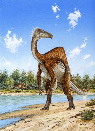 北大など、約50年間謎とされていた恐竜の姿を解明