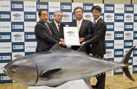 豊田通商の養殖マグロ 「近大マグロ」で販売へ