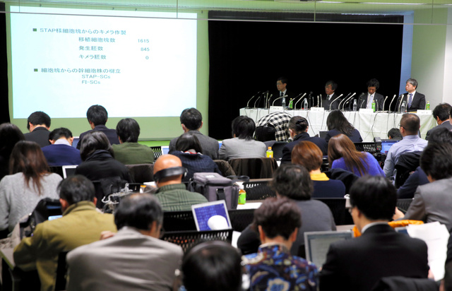 存在否定で「正体はES細胞」の疑い強まる