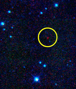 小惑星の名に「マララ」 ＮＡＳＡが発表