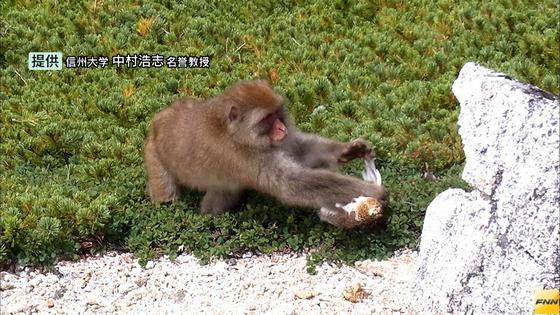国会の敷地内でナイフ２本 犯行伝えるメールも