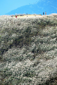 シネマライズ、閉館へ 東京・渋谷のミニシアター