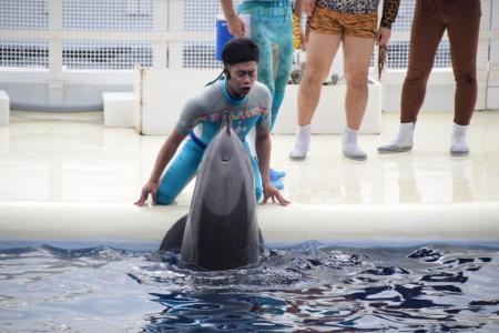 すっちーの相棒吉田裕、イルカと乳首ドリルのコラボ