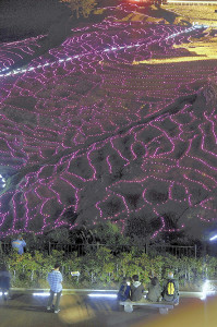 ＬＥＤで浮かび上がった「白米千枚田」 2015年10月11日 16時41分