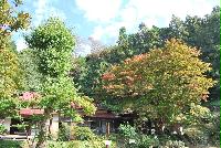 あきる野の豊かな自然を満喫！10月25日（日）に「協同村まつり」を開催！【生活クラブ生協・東京】