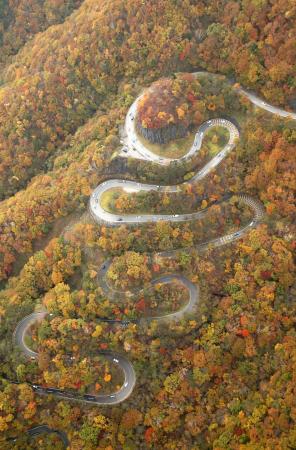紅葉に染まる「いろは坂」 栃木・日光で見ごろ