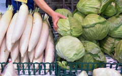 軽減税率財源まず4000億円 医療の自己負担軽減制度見送り