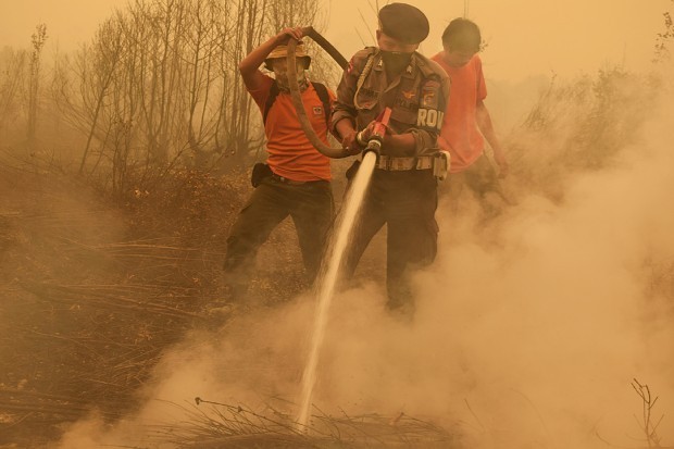 インドネシア:森林火災猛威 CO2、16億トン 日本の年間排出量超す