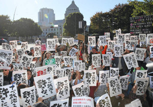 「九条壊すな」「政権にＮＯ」 憲法公布６９年にちなみ集会